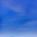 청맥농장 이미지