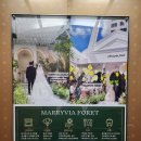 서초1동청사 앞마당 2 | 대전 결혼식장 찐 하객 후기) 메리비아포레 웨딩홀