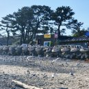 대왕릉민박 이미지