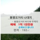 미수동 진남초등학교 앞 이미지