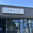 CU진주초전핫플점 | 진주 임신준비 진주 효소찜질 초전동 금화효소원 후기