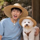 SBS 플러스 이미지