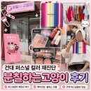 건대 퍼스널컬러 잘하는 곳 분칠하는고양이 | 겨쿨 재진단 후기