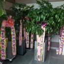 태화당한의원 이미지