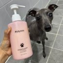 자연향기 | [피키너스 퍼퓸 드 로랑 펫 샴푸] 솔직 후기 | 자연유래 성분 + 향기 좋은 강아지 샴푸
