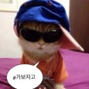 진상 | [미카사] 건대입구역 조용하고 분위기 좋은 한식주점 진상 후기