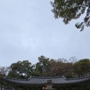 역사문화대장정 고석정~전곡선사박물관 . 이미지