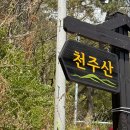 천주산 등산 도로변 | 천주산 진달래 / 낮술 막걸리 상남동 오봉집 / 내돈내산