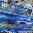 농수산물도매시장 이미지