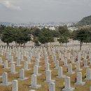 평택2로 이미지