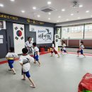 청룡태권도 | 평내 호평 최우수도장 용인대석사청룡태권도 수업후기