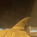 홍해정육점 | [스페인 교환로그 #1] Hola, buen viaje! (험난한 출국 준비 &amp; 출국 과정)