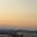 11500-13-01-10 | 생애 첫 제주 당일치기 도전! 일정 및 후기 (2026/01/13)