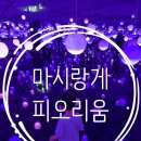 브레쓰카페 | [남원] 남원 아이들과 가볼만한 곳! 남원 미디어 아트 전시관!마시랑게 x 피오리움을 소개해드려요!