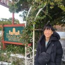 노을과원담민박 이미지