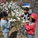 옥포초교 병설유치원 이미지