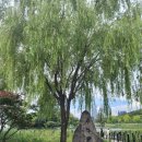 (주) 호텔수성 | [대구] 호텔 수성 호캉스 솔직 후기 - 주니어 스위트 패밀리 트윈룸 레이크뷰 룸컨디션 / 수영장