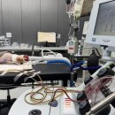 고려동물메디컬센터 이미지