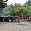 고래숲 관광농원 이미지