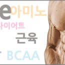 상아헬스보충제