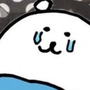 카페거리 동물병원 동행 | [집사일기] 묘생 첫 스케일링 후기 전신마취 후 회복까지 기록