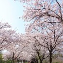 평택호그랜드관광호텔 이미지