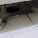 다인로얄팰리스배곧6차(배곧로얄팰리스6차) 이미지