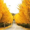 불자의집 이미지