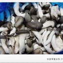 예덴농원 이미지