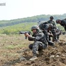해병대제2사단(수색대대)