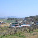 지방도1008호선 이미지