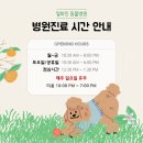 솜솜 애견미용 이미지