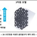 바이오포레스트 이미지