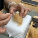손뜨게공방 | [강릉 그릿니들스튜디오] 양모펠트 & 강릉공방 데이트, 반려동물 원데이클래스