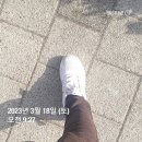 종로-종로-종로-종-253 | 서대문구 - 북아현. 가재울 뉴타운 손품 및 임장후기(2023.3.18)