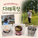 대로목장 | 청주 아이와 가볼만한 카페 다래목장｜고소한 커피·아이스크림·요거트 후기