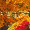 바림 이미지