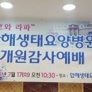 압해생태요양병원 Daum카페