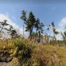 덕수교차로(평화로) 이미지