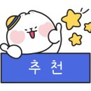 백화stay