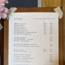 오션 캣 이미지