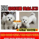 상아어린이공원 이미지