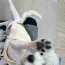 전포유치원 이미지