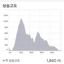 비자림H
