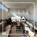 펫미리애견샵 | [용인 애견용품샵] 강아지 유모차 매장 펫막스(피카고 아발론 낫쏘빅 폼포라펫 플로디)