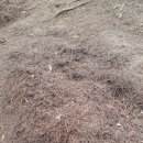 방글농장 이미지