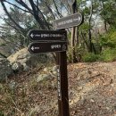 안창약수터 | 23-170 부산 민주공원 구봉산 수정산 등산!