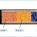 히팅케이블 - Self Regulating Heating Cable(정온전선) 이미지