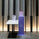 AK플라자 원주점(6층) | [원주여행] 원주 오키드호텔, 깔끔하고 위치가 좋은 원주 호텔, 슈페리어 킹 후기