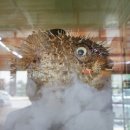 천금복집 이미지